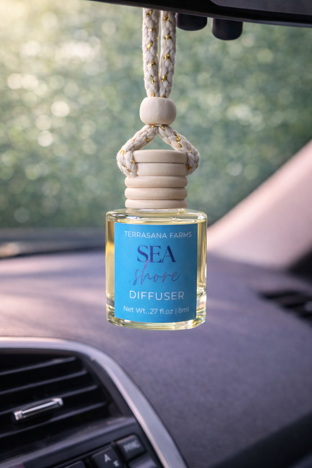 Last Chance Car Diffusers