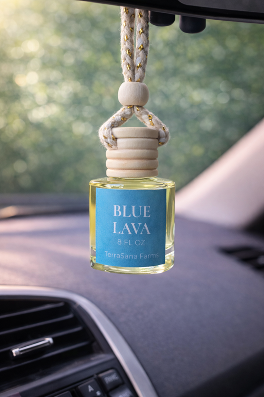 Car Diffusers
